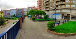 CASCO VIEJO PORTUGALETE