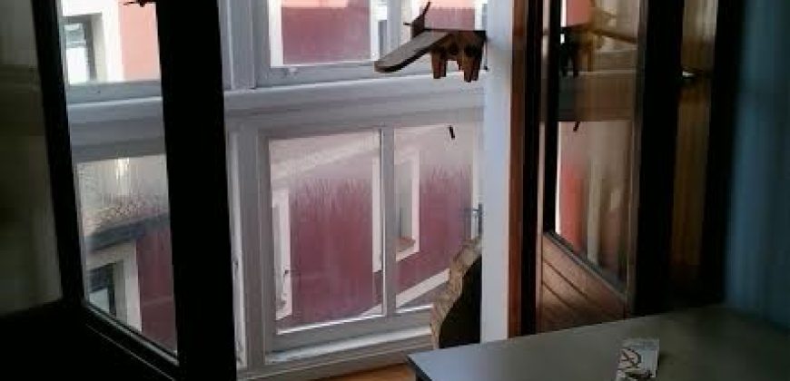 CASCO VIEJO PORTUGALETE