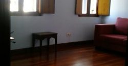 CASCO VIEJO PORTUGALETE