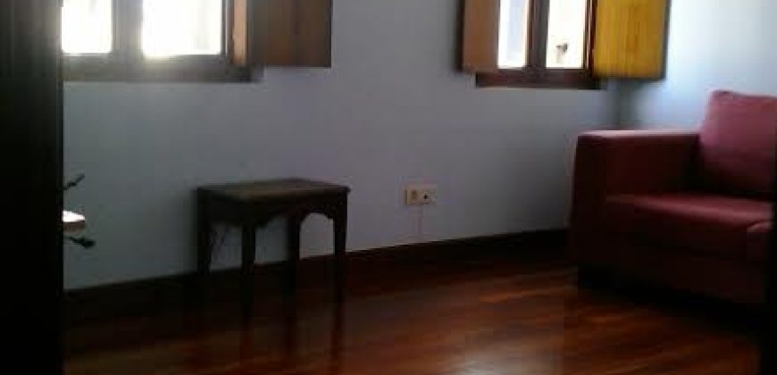 CASCO VIEJO PORTUGALETE