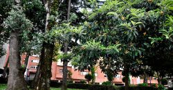 PRECIOSO PISO para ENTRAR A VIVIR en Av. Abaro