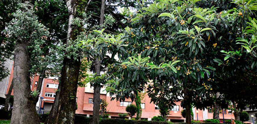 PRECIOSO PISO para ENTRAR A VIVIR en Av. Abaro